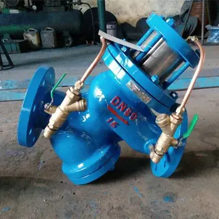 Flanged Piston Check Valve, A182 F51 DN80 PN16